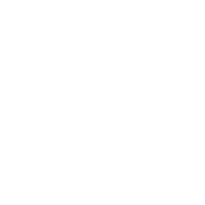 INVADER